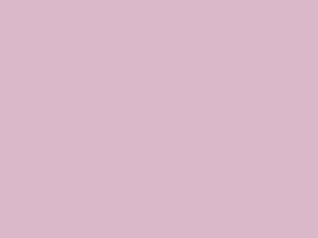 Aster Petal