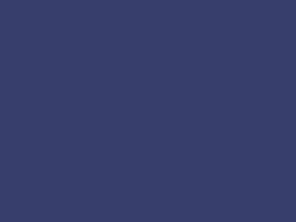 Purple Wildflower