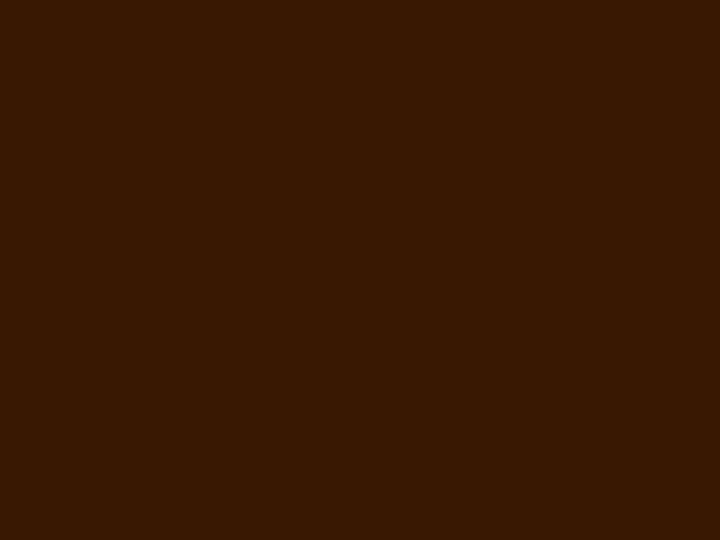 American bronze