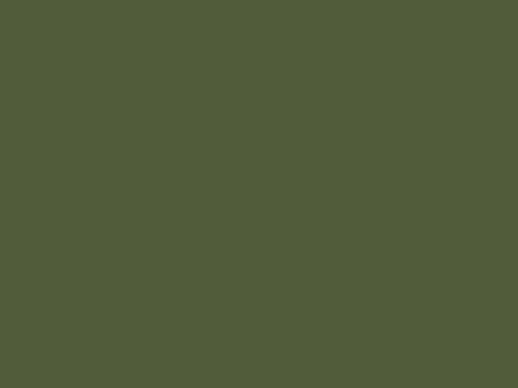 Shallot Leaf