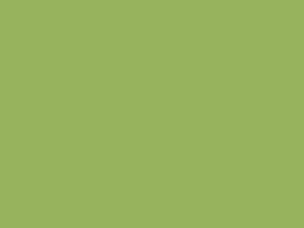 Green Salad