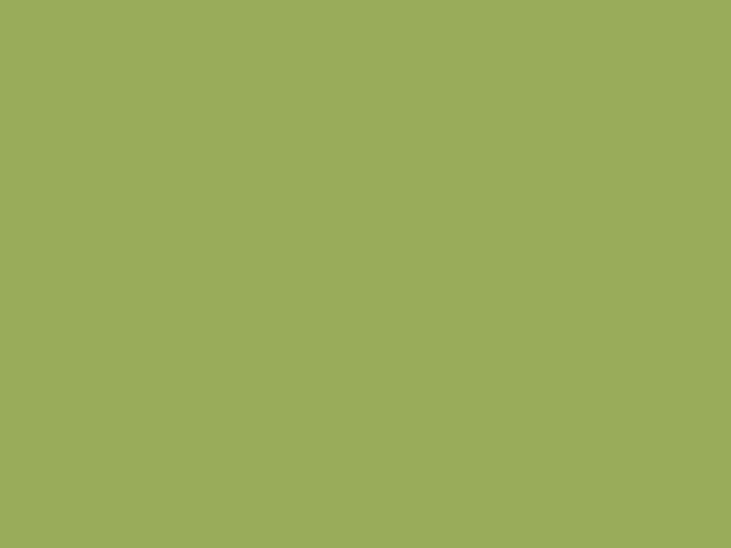 Willow Branch