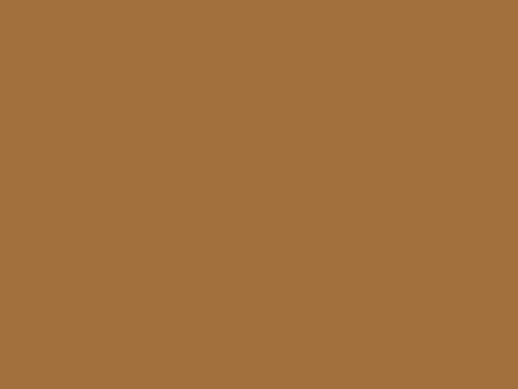 Desert Boot