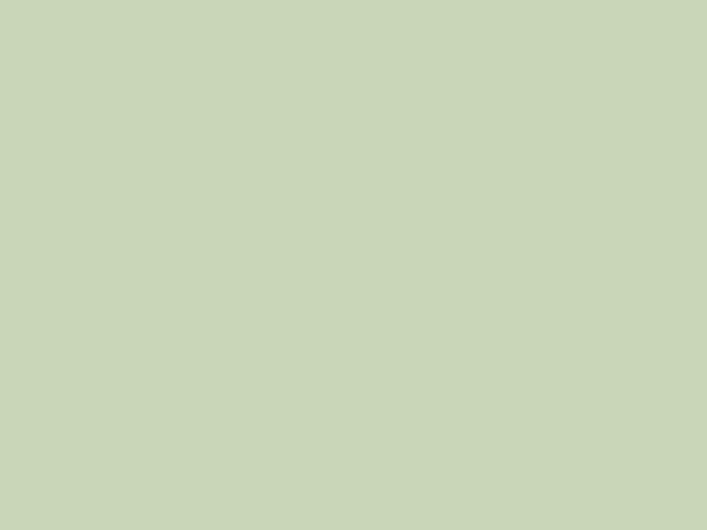 Forest Foliage