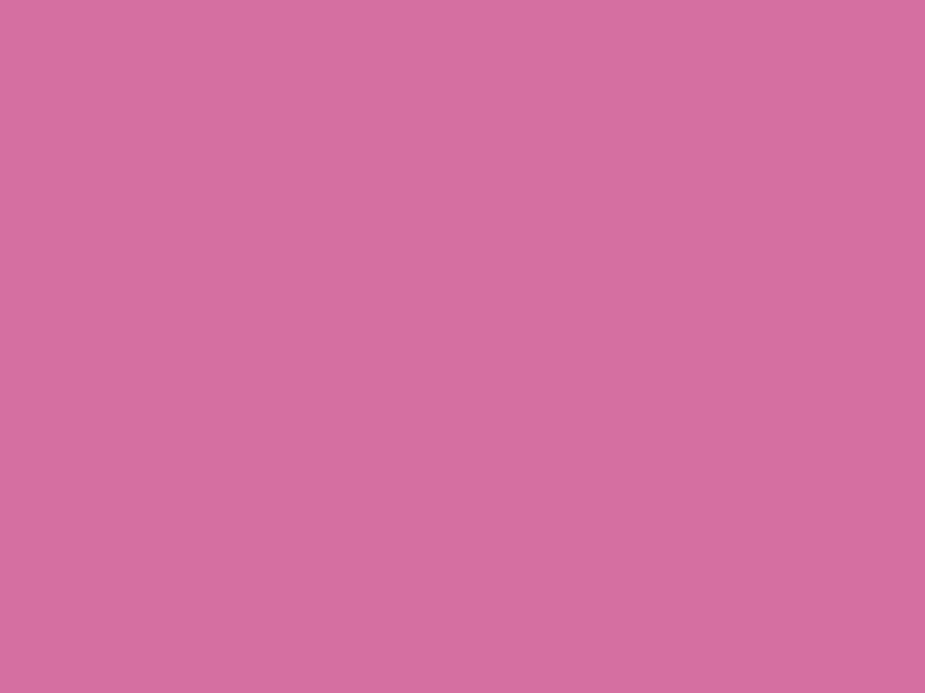 Wild orchid